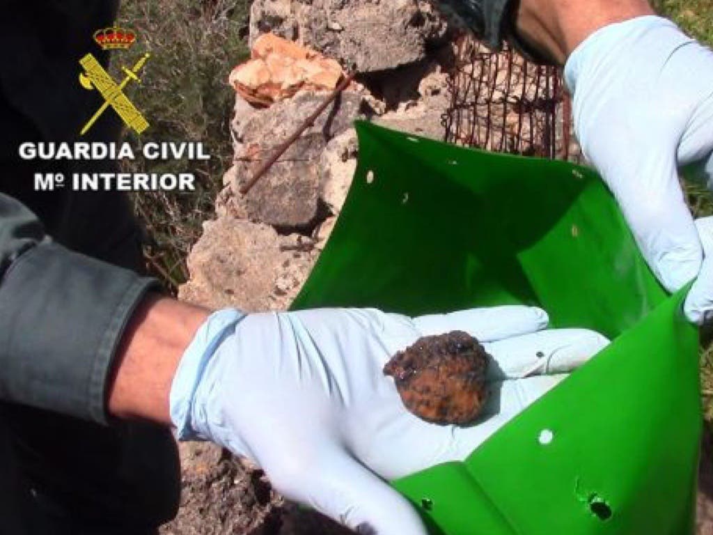 Bola de carne envenenada similar a las que denuncian en Arganda. (Archivo/ Guardia Civil).