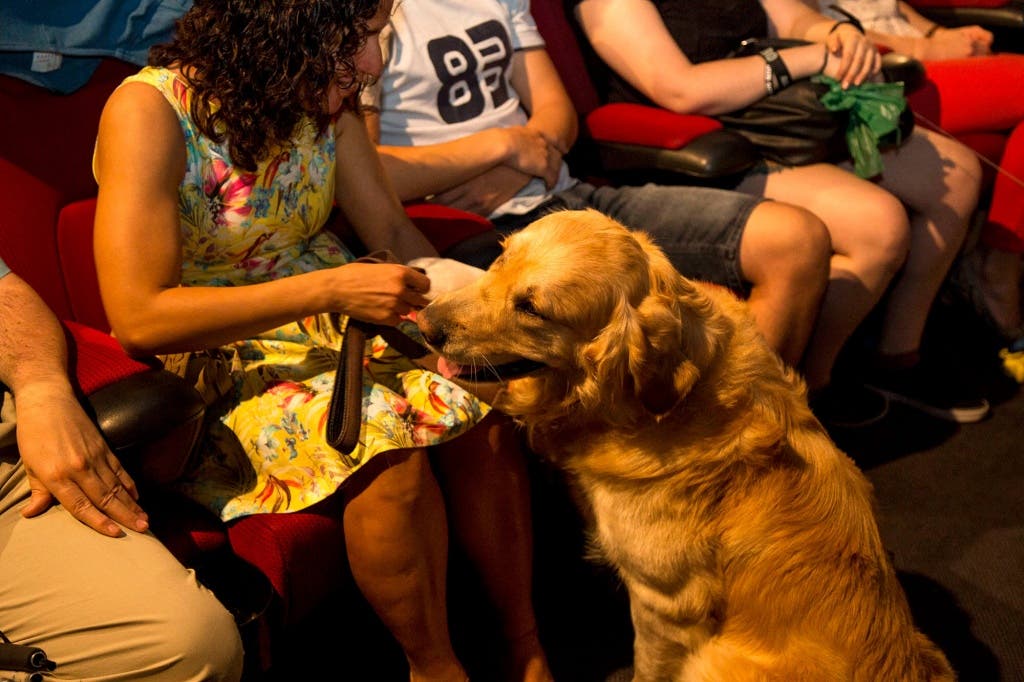 smart-dog-cine-capitol-perros-8