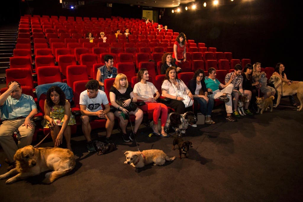 smart-dog-cine-capitol-perros-9