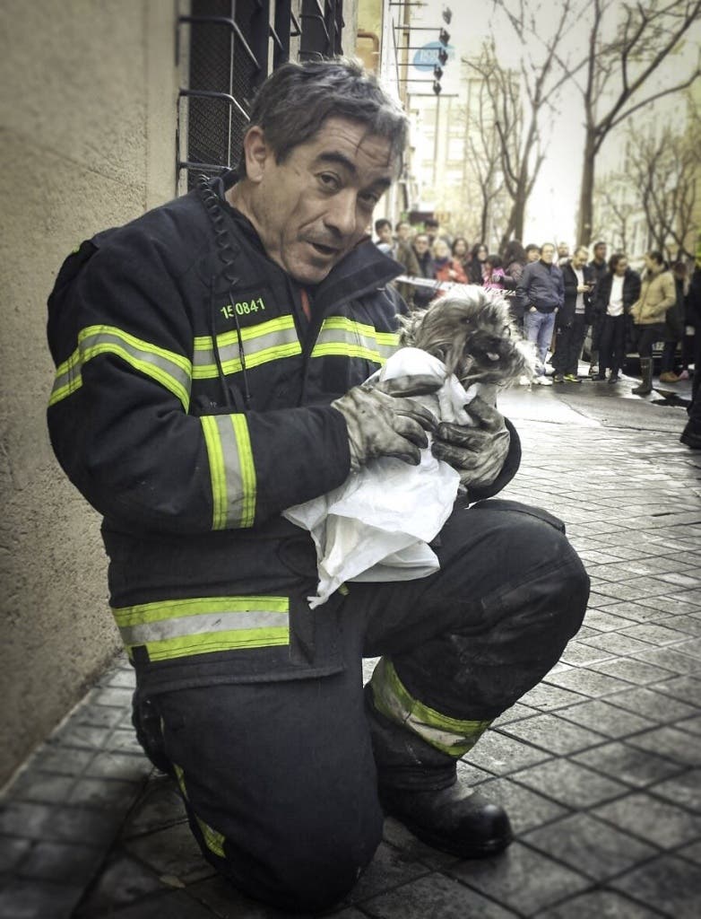 Uno de los Bomberos posa con Lucky ya sano y salvo. 