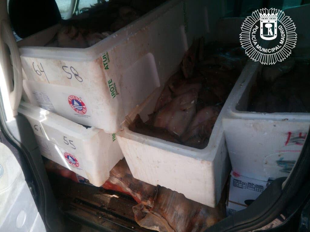 alimentos.001