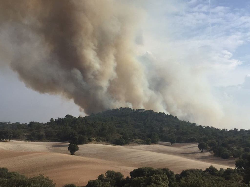Imagen del CEIS de Guadalajara.
