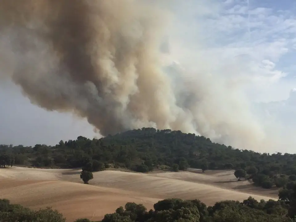 Imagen del CEIS de Guadalajara. 