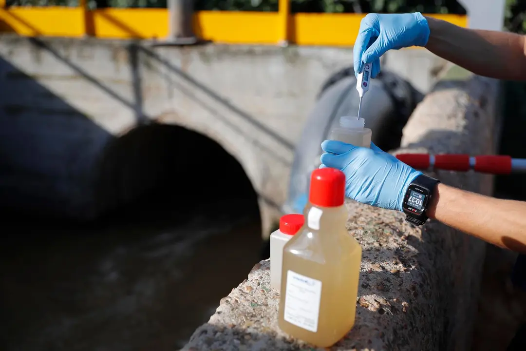 COMUNIDAD DE MADRID
Foto: D.Sinova