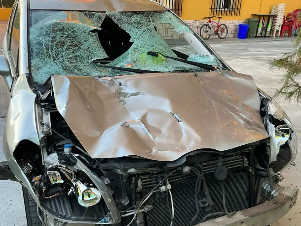 Coche con el que cometi&oacute; el atropello.