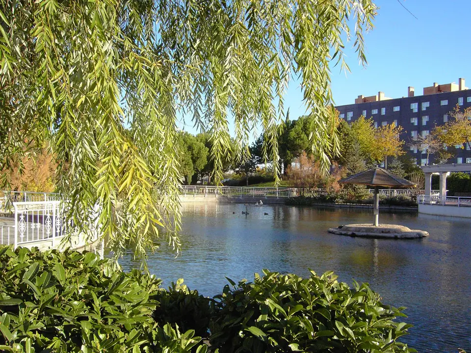 Im&aacute;genes: Ayto. de Coslada. 