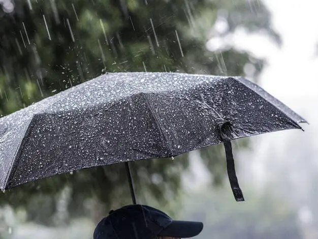 A person with an umbrella in the rain. (Niyom Napalai/Shutterstock)