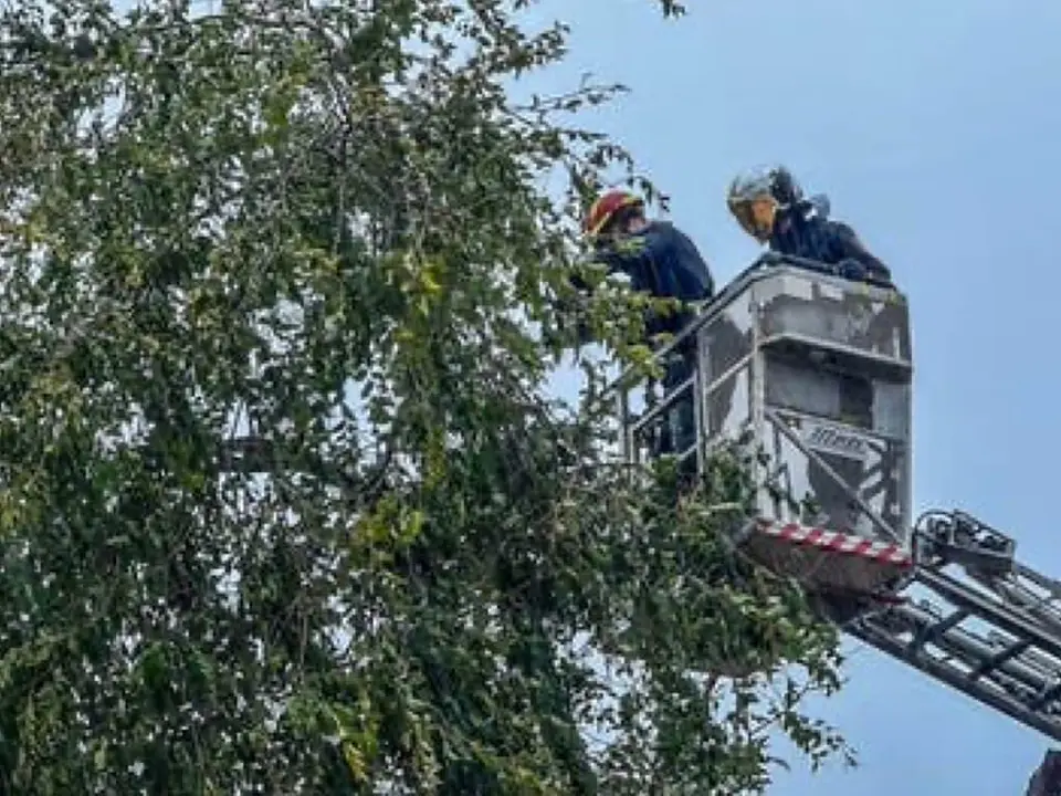 Bomberos actuando por el viento. ARCHIVO