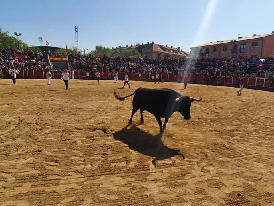 Mejorada del Campo celebra las Fiestas del Pilar con encierros y actividades locales. Un evento lleno de tradici&oacute;n y diversi&oacute;n.