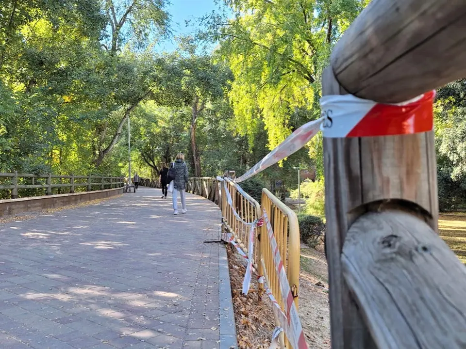 El paseo del r&iacute;o Henares en Nueva Alcal&aacute; ser&aacute; renovado. La obra comenzar&aacute; pronto.