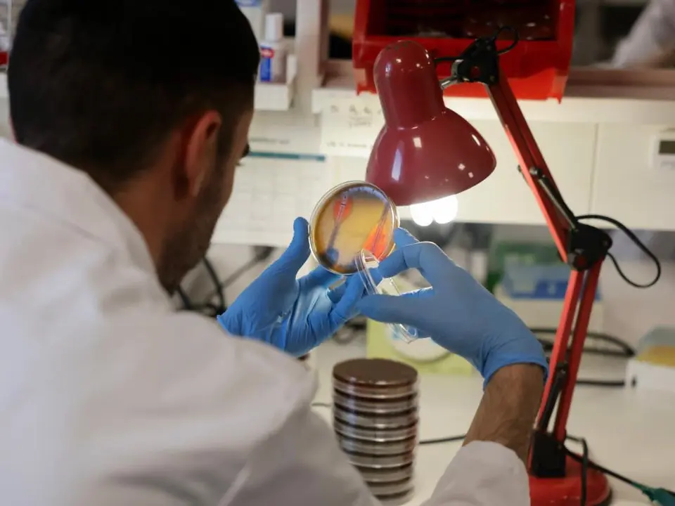 Un investigador examina muestras relacionadas con la viruela del mono en un laboratorio. El caso ha sido confirmado en un hombre de 49 a&ntilde;os.