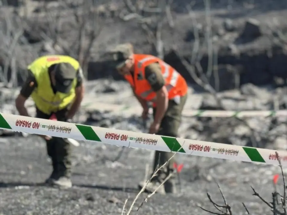 Agentes forestales trabajan en la investigaci&oacute;n de incendios en la Comunidad de Madrid. Se han identificado 21 autores.
