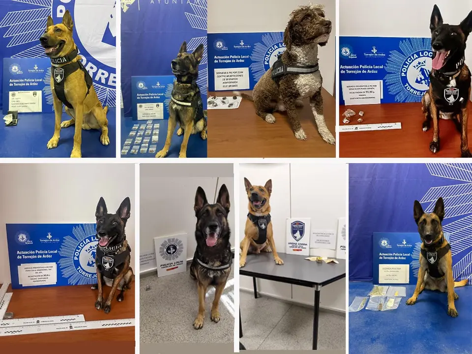 La Unidad Canina de Torrej&oacute;n ha realizado importantes incautaciones de drogas. Los perros est&aacute;n entrenados para detectar sustancias ilegales.