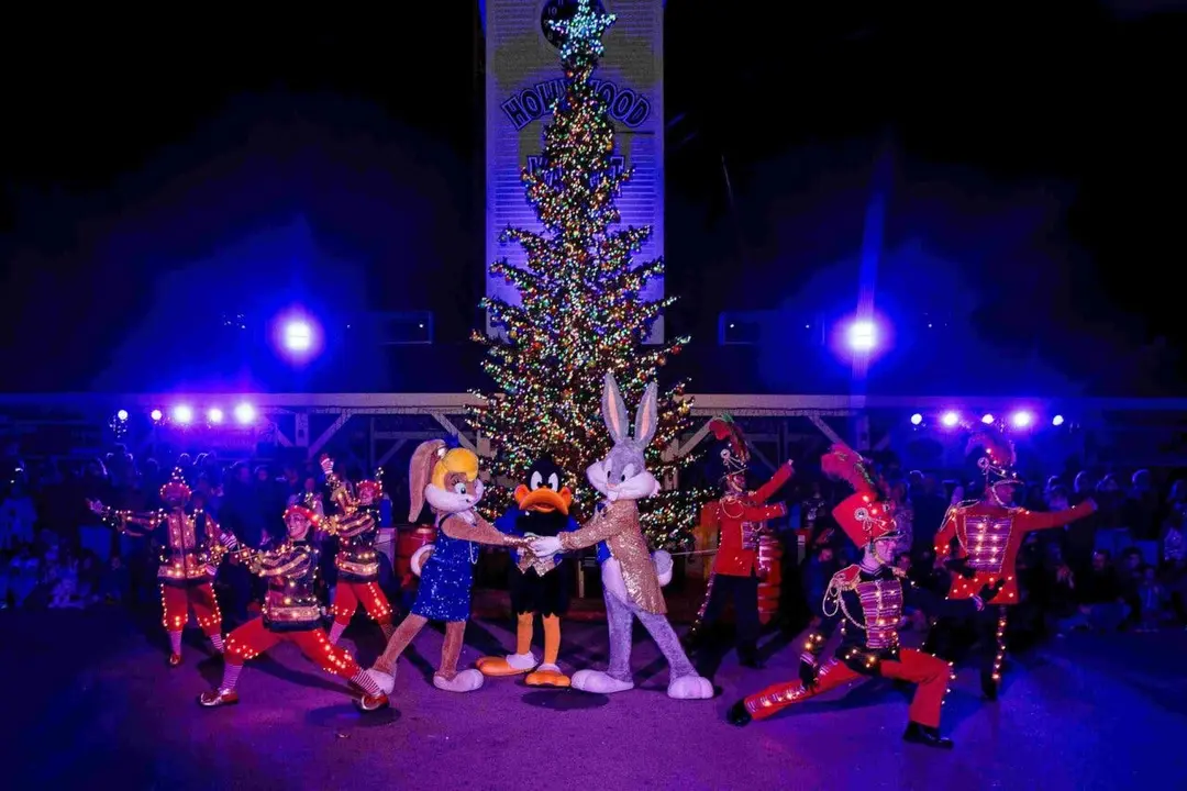 El Dance Festival Christmas Edition trae magia y diversi&oacute;n a Parque Warner.