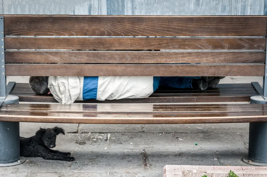 Poor homeless man with his dog sleeping on the urban street in the city on the wooden bench