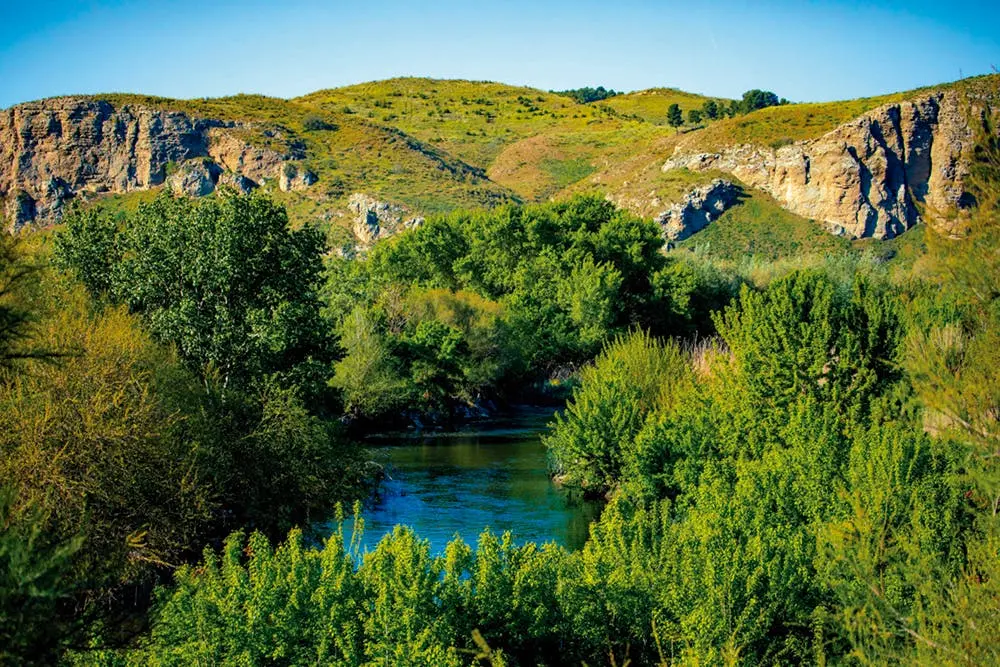 El r&iacute;o Manzanares ofrece un paisaje natural en Rivas. Se lanzan recomendaciones ante un foco de gripe aviar.