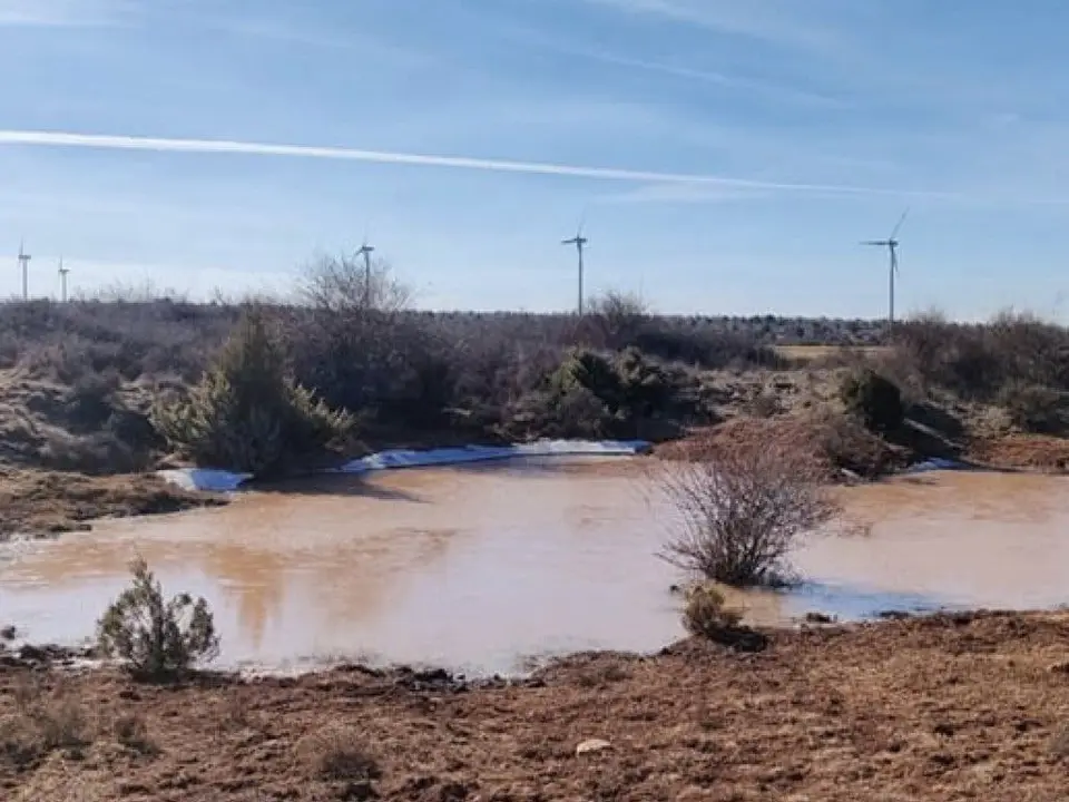 Ecologistas alertan sobre el impacto de macrogranjas en Maranch&oacute;n, Guadalajara.
