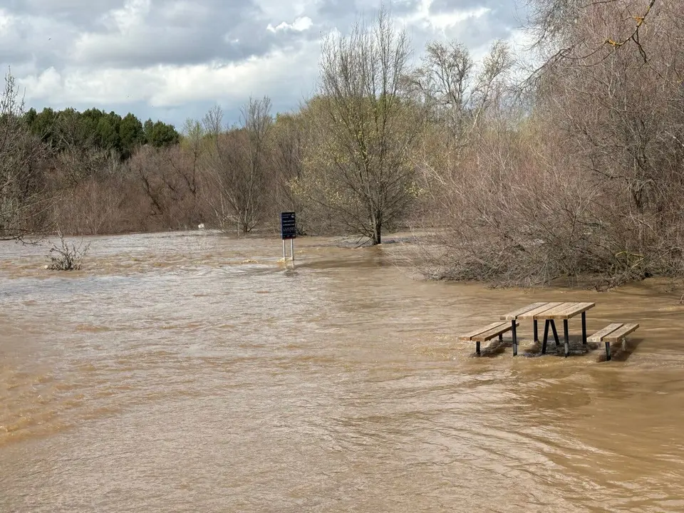 El r&iacute;o Henares desbordado en Mejorada del Campo, afectando el entorno natural.