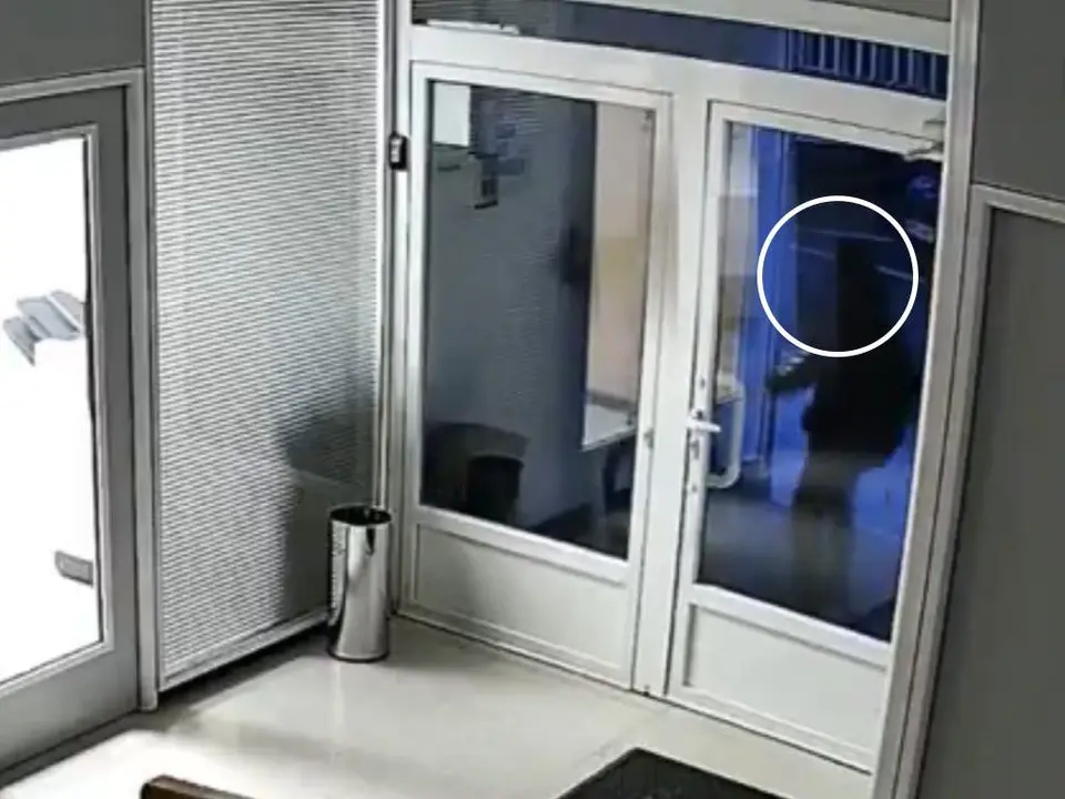 Dos individuos agredieron la sede del PSOE en Guadalajara. Las c&aacute;maras de seguridad registraron el ataque.