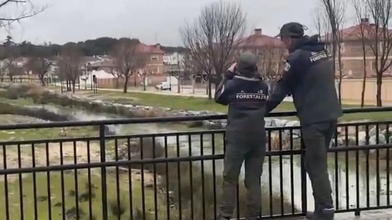 Observaci&oacute;n de las condiciones clim&aacute;ticas en Madrid durante la activaci&oacute;n del plan de emergencia.