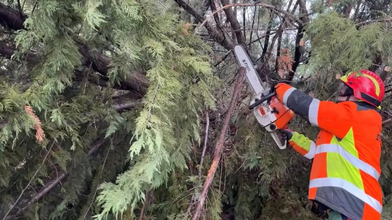 Los Bomberos de Madrid realizan intervenciones por fuertes vientos. Aqu&iacute; se observa una acci&oacute;n de limpieza.