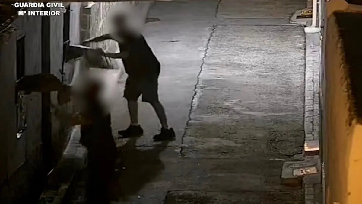 Dos detenidos por un incendio en una vivienda vulnerable en Torres de la Alameda.