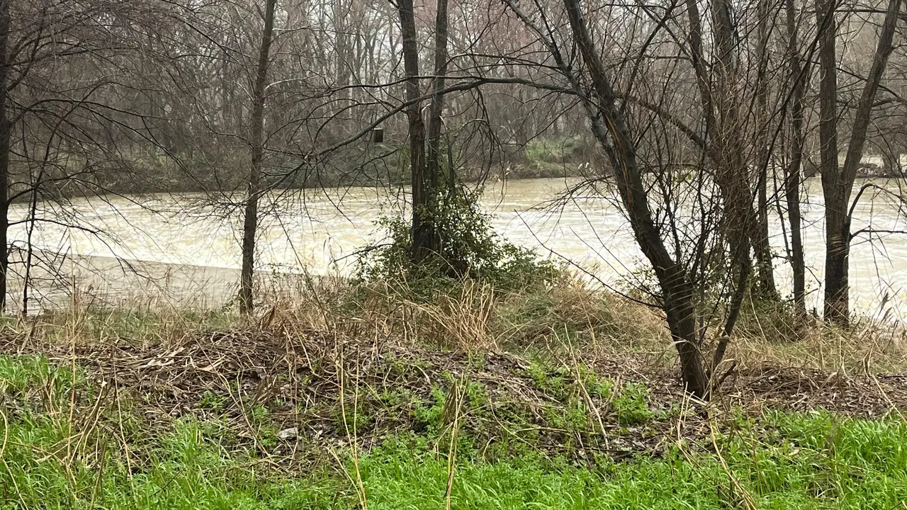 El r&iacute;o Henares a su paso por Alcal&aacute;. AYTO. DE ALCAL&Aacute;.
