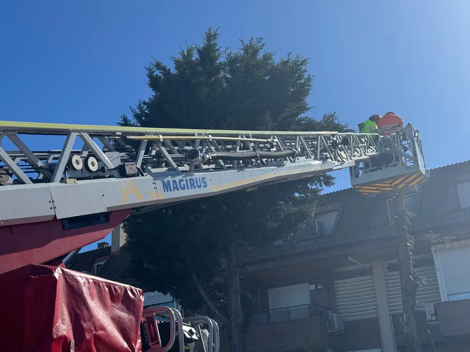 b1942d12-e3be-4bf6-a3c6-eb52fcc452bd