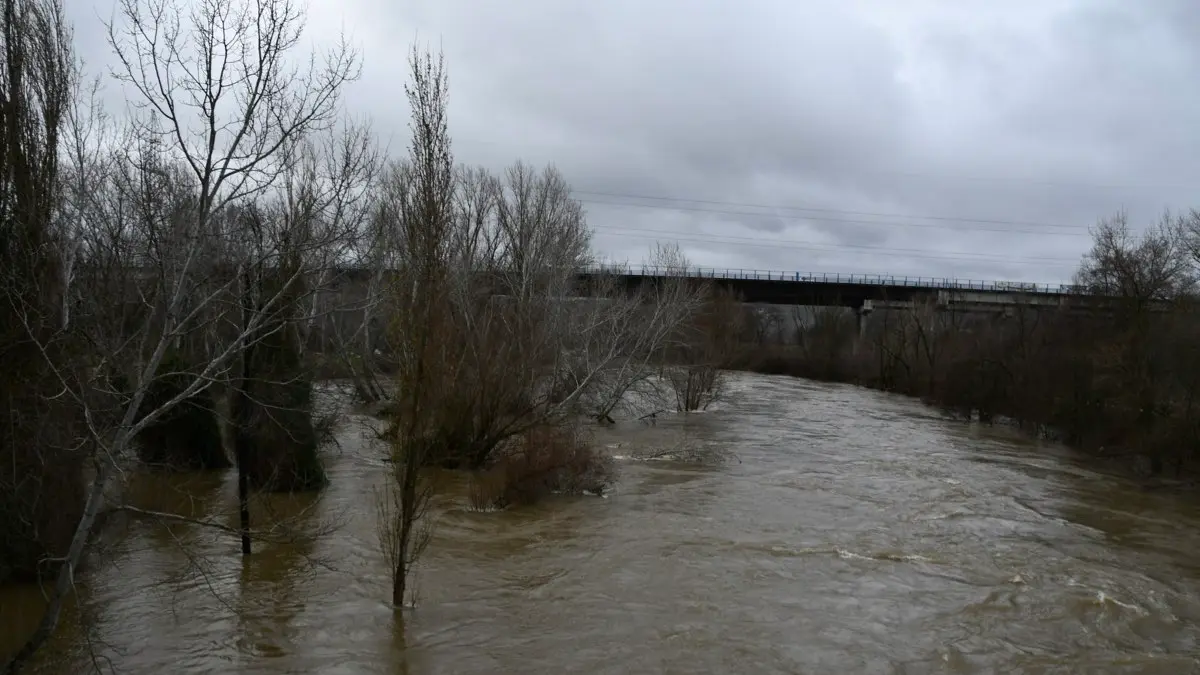 AYTO. DE MEJORADA DEL CAMPO