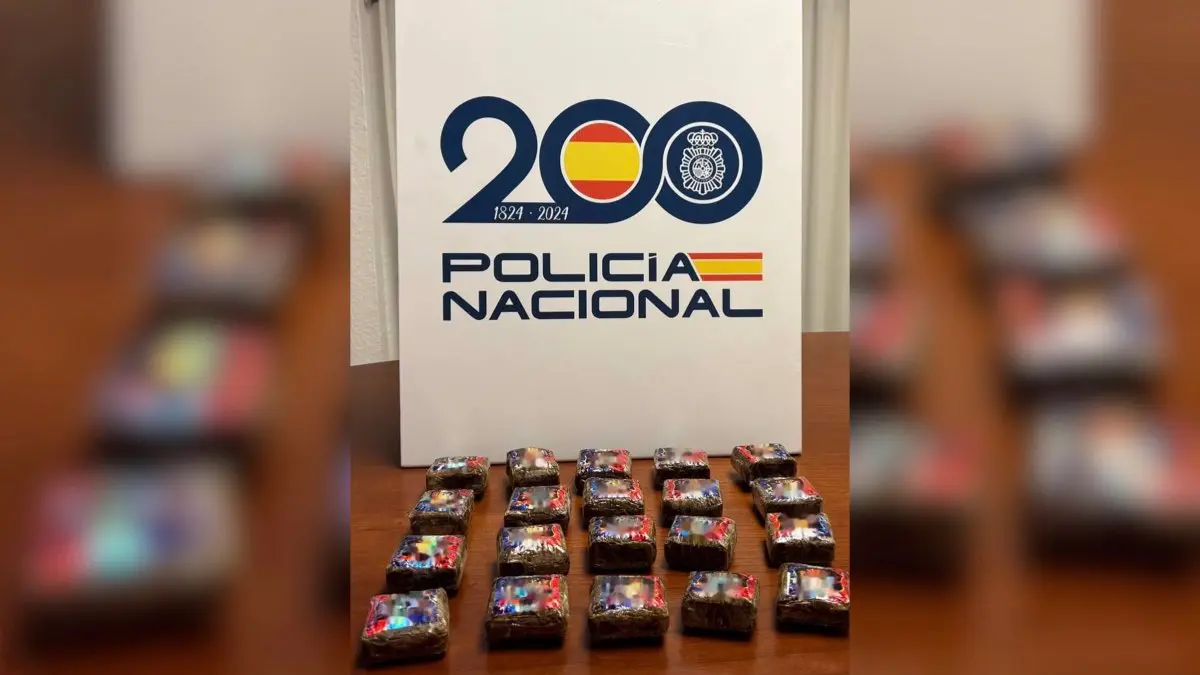 Las 20 placas de hach&iacute;s intervenidas por la Polic&iacute;a Nacional en el interior del veh&iacute;culo. POLIC&Iacute;A NACIONAL
