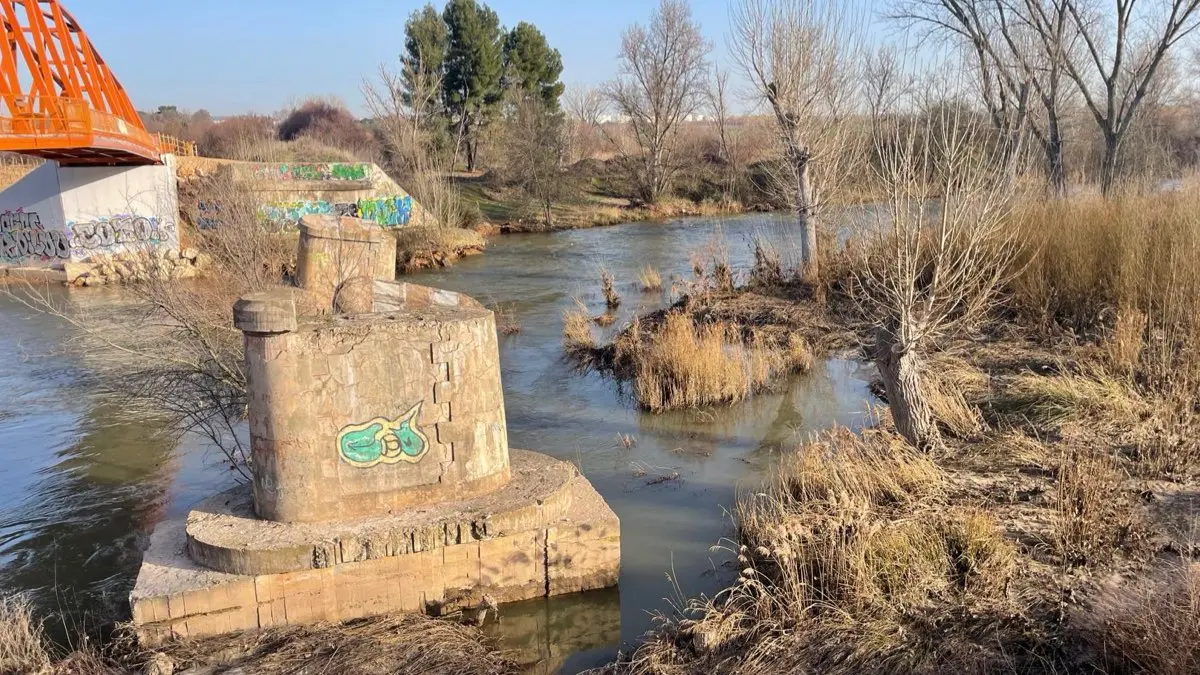 El r&iacute;o Henares a su paso por Mejorada del Campo, en una imagen publicada este mi&eacute;rcoles por el Ayuntamiento. AYUNTAMIENTO DE MEJORADA DEL CAMPO
