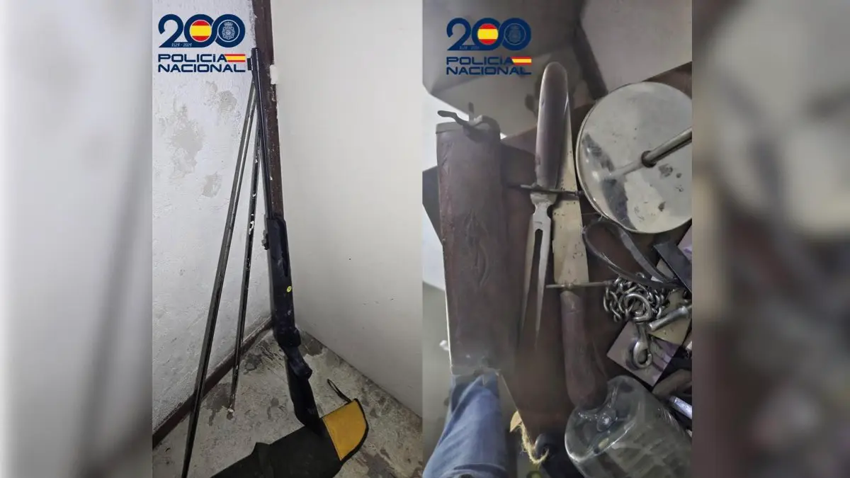 Armas incautadas por la Polic&iacute;a Nacional en la vivienda del joven atrincherado en Torrej&oacute;n de Ardoz. POLIC&Iacute;A NACIONAL