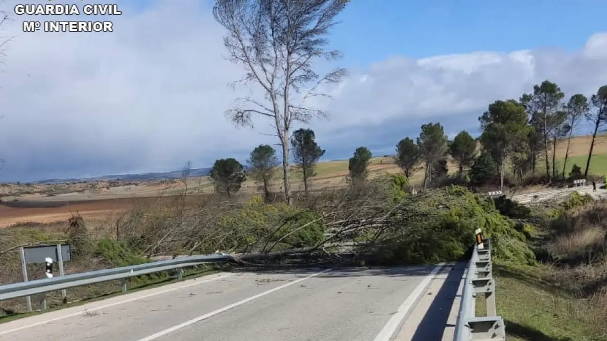 &Aacute;rbol ca&iacute;do sobre la carretera N-320 a la altura de Alcocer que oblig&oacute; a cortar la v&iacute;a. GUARDIA CIVIL