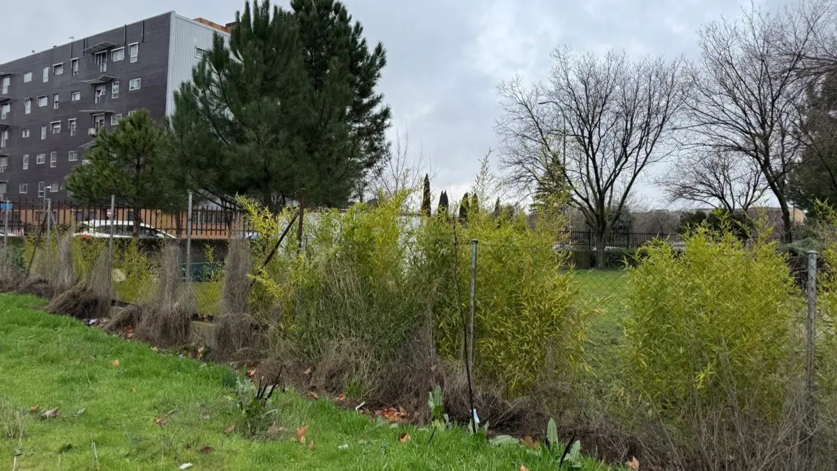 Imagen del Colegio de Educaci&oacute;n Especial Guadarrama de Coslada facilitada por Vox.
