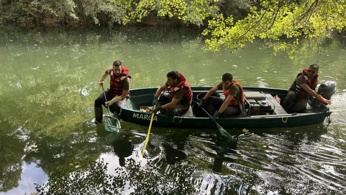 abores de retirada de especies invasoras en un r&iacute;o de la regi&oacute;n. COMUNIDAD DE MADRID