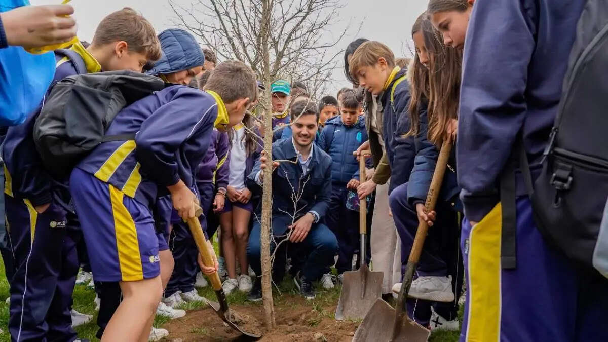 Plantaci&oacute;n de &aacute;rboles con escolares en el Parque Europa. AYUNTAMIENTO DE TORREJ&Oacute;N DE ARDOZ