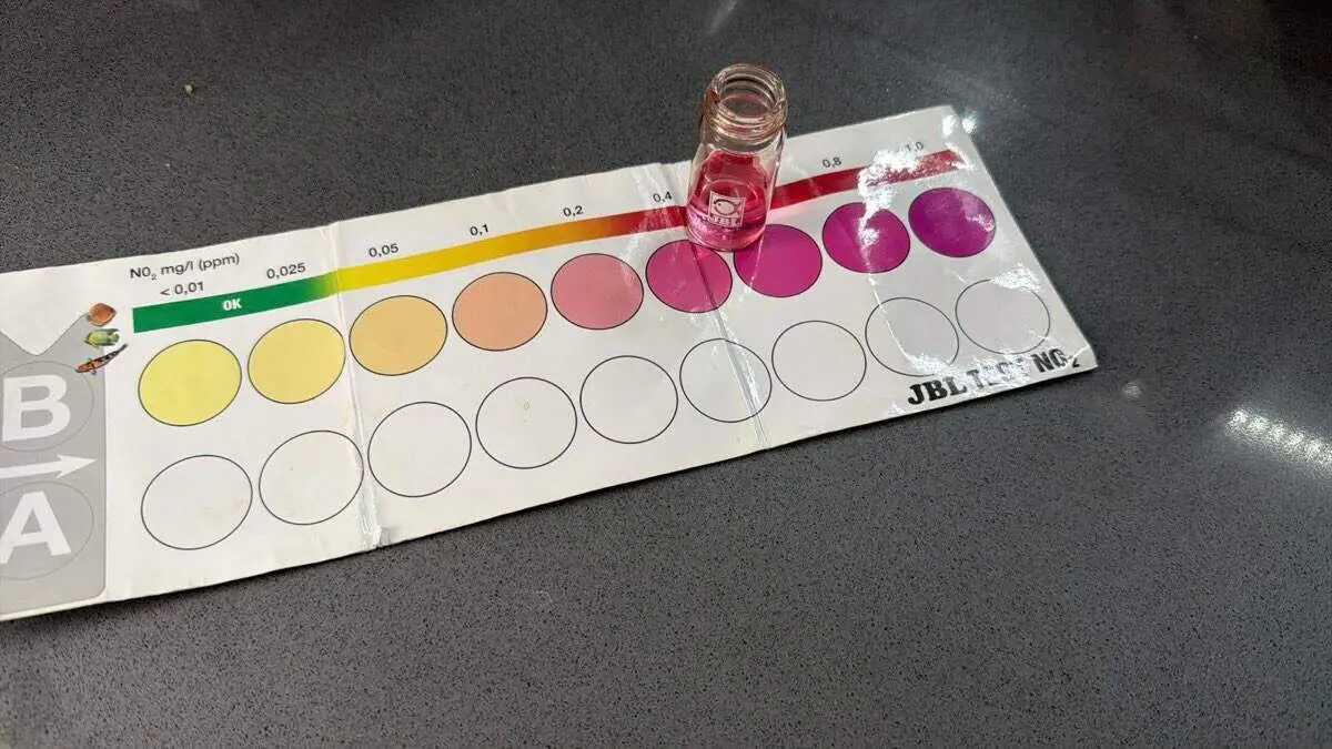 Prueba de an&aacute;lisis del agua realizada por vecinos del Sector XXIII. VANGUARDIA