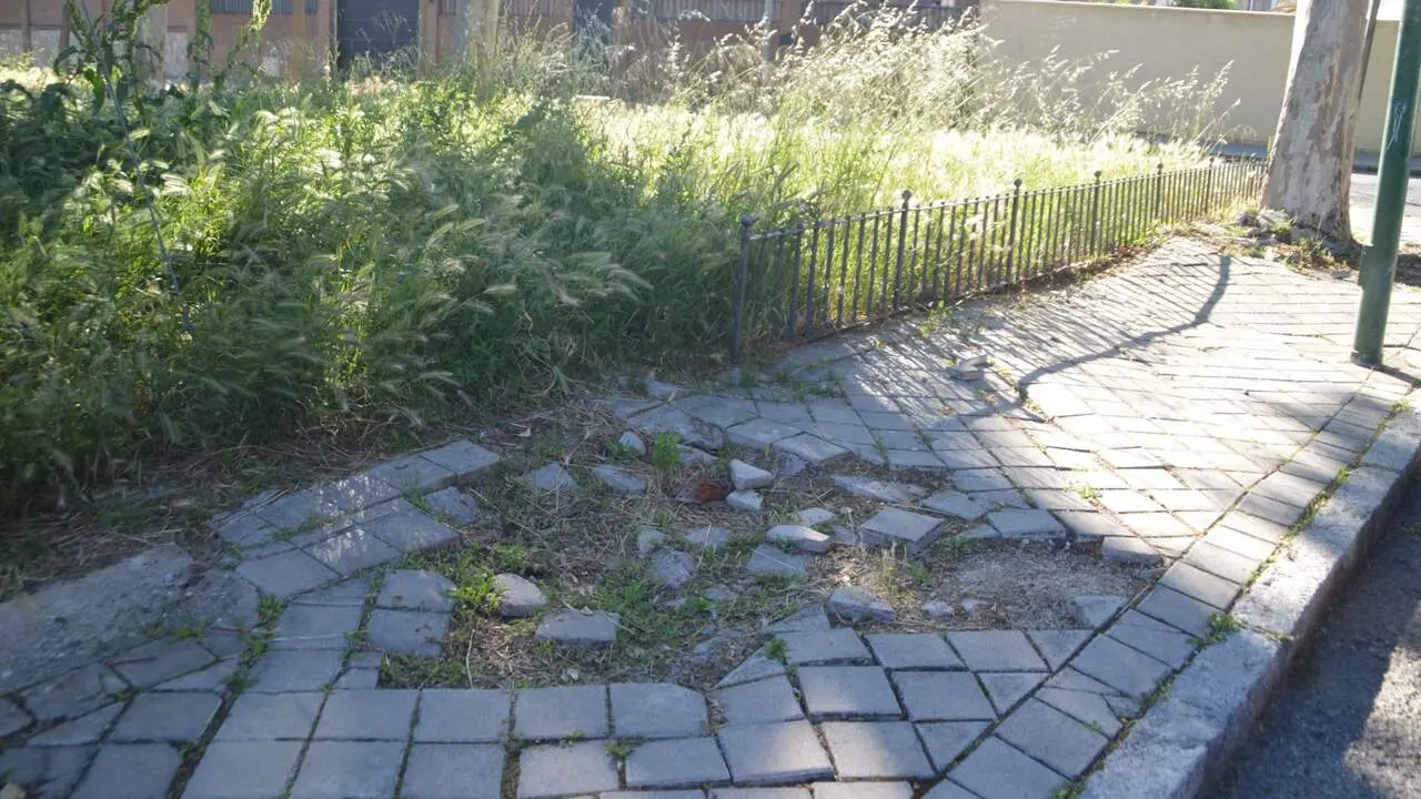 Estado actual de la calle C&aacute;ceres. AYTO. DE ALCAL&Aacute;