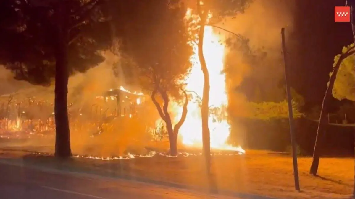 El incendio declarado en una ariz&oacute;nica de una vivienda de Boadilla del Monte. 112 COMUNIDAD DE MADRID.