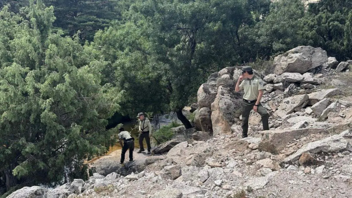 Agentes forestales durante las labores de vigilancia en zonas protegidas de la Sierra de Guadarrama. COMUNIDAD DE MADRID