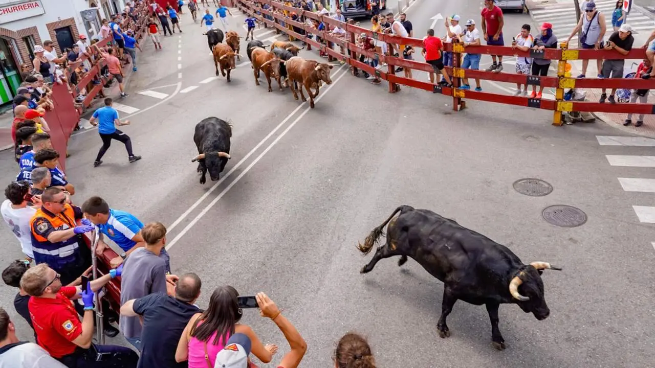 Encierros de las Fiestas Populares de Torrej&oacute;n 2025. AYTO. DE TORREJ&Oacute;N DE ARDOZ