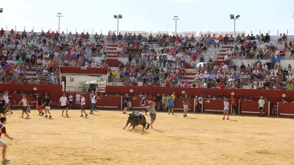 Capea en una edici&oacute;n anterior de las Fiestas del Agua. AYTO. DE TORRES DE LA ALAMEDA