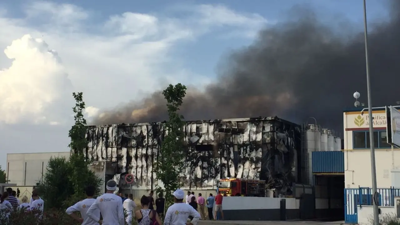 Trabajadores de la Panificadora de Alcal&aacute; observan el fuego (MirCorredor.tv). 