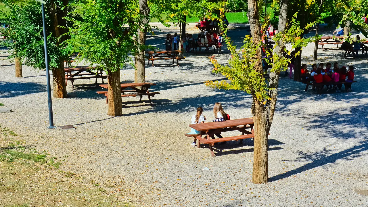 Merendero Parque Europa (Ayto. Torrej&oacute;n).