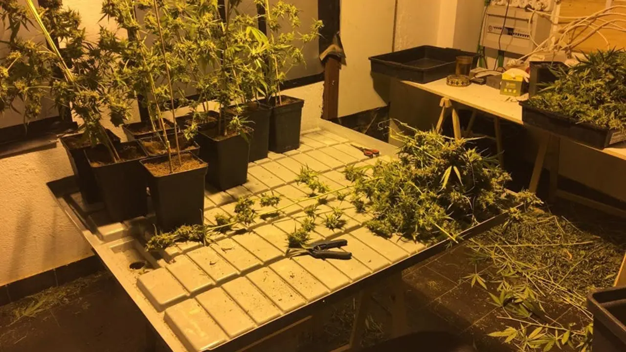 Im&aacute;genes: Ayto. de Arganda del Rey.