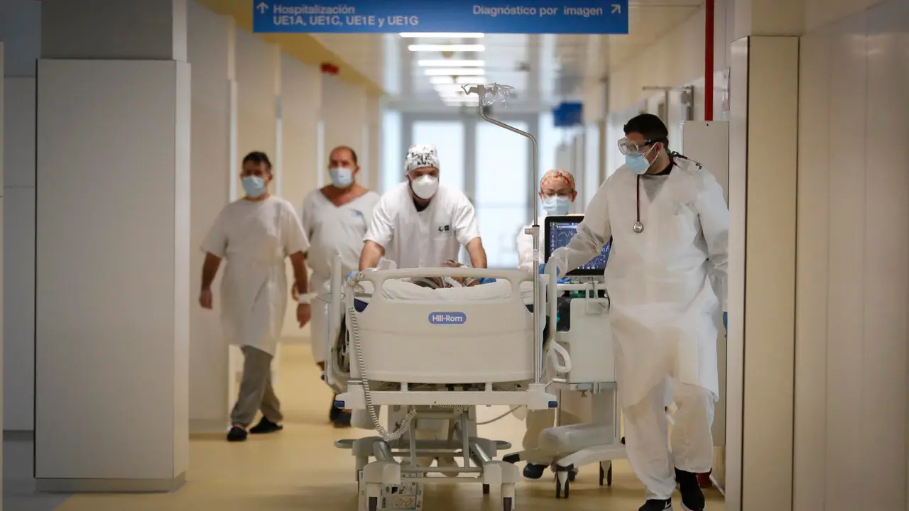 COMUNIDAD DE MADRID
Foto: D.SINOVA