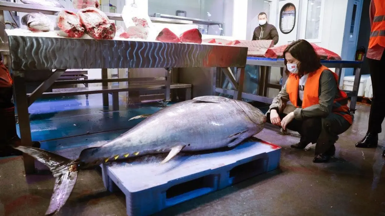 Ayuso durante su visita este jueves a Mercamadrid.