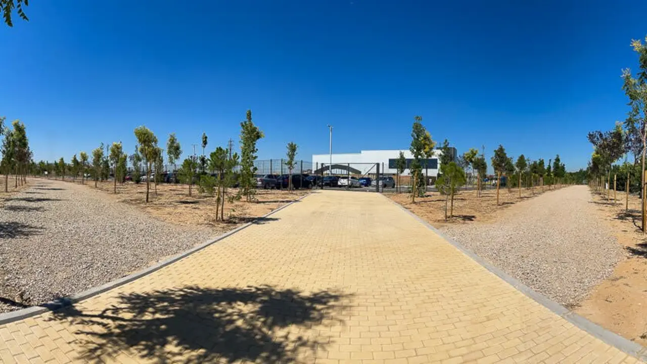 Im&aacute;genes. Ayto. de Torrej&oacute;n. 