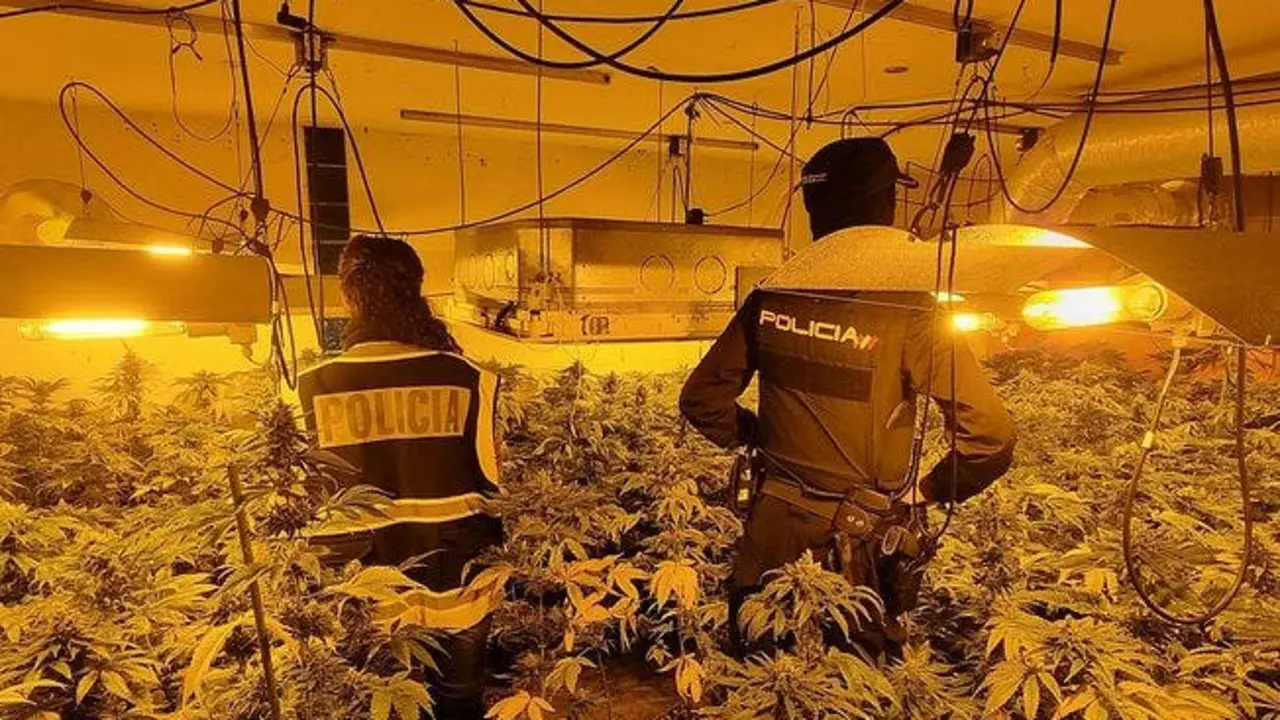 Nota De Prensa Polic&iacute;a Nacional
POLIC&Iacute;A NACIONAL
31/1/2023