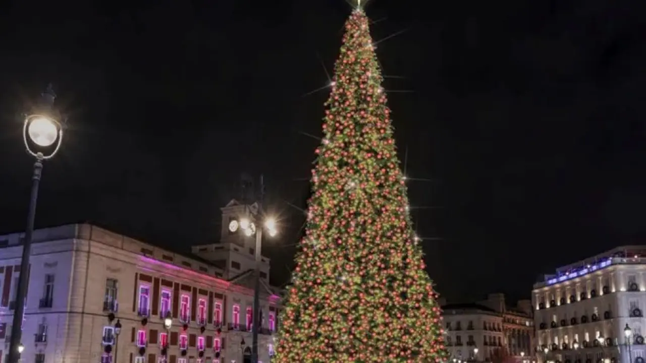 As&iacute; ser&aacute; el nuevo &aacute;rbol de Sol.